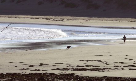 3 Bed in Dunfanaghy 8