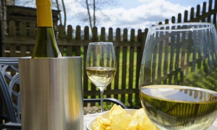 The Linhay, Nr Wiveliscombe 9