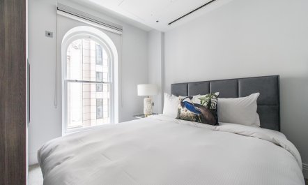 The Capital's Charm 1