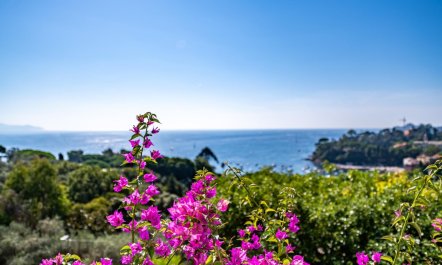 A Seaside Getaway 7