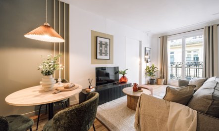 Light of the Louvre 4