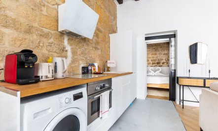 Notre-Dame Dreaming 8