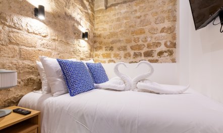 Notre-Dame Dreaming 1