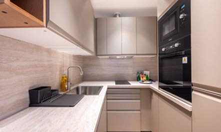 Parisian Green Spaces 1