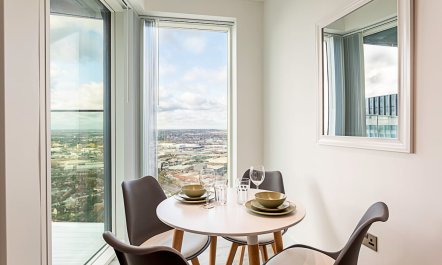 Urban Skyline Sanctuary 5