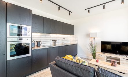 Urban Skyline Sanctuary 2