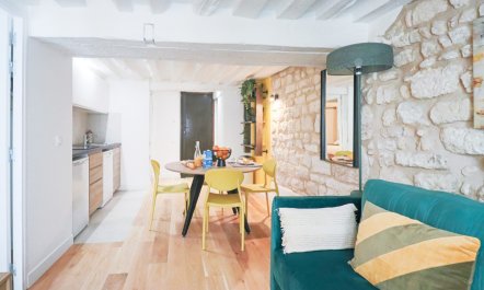 The Elegance of Paris 1