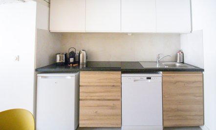 The Elegance of Paris 5