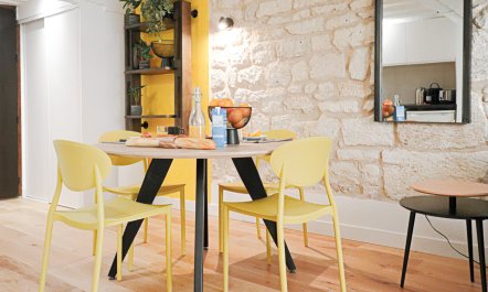 The Elegance of Paris 3