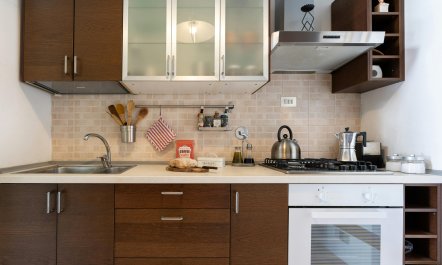 Astronomical Observatory View 1