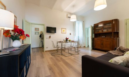 Astronomical Observatory View 4