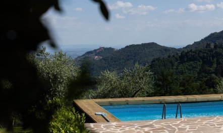 Hilly Tuscany 1