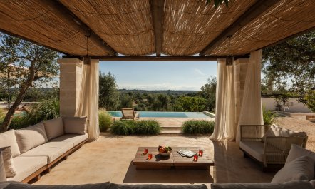 Olive Treasures