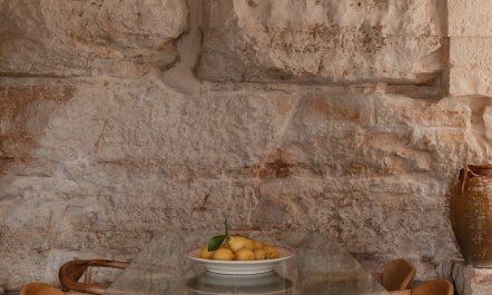 Olive Treasures 3