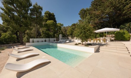 In Perfect Harmony 1