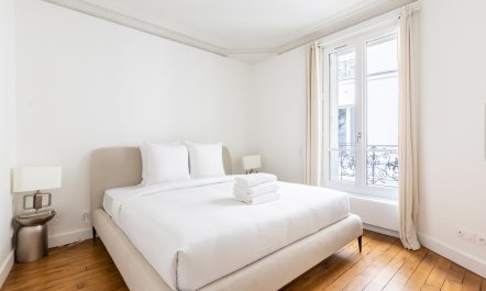 The Bridges of Paris 4