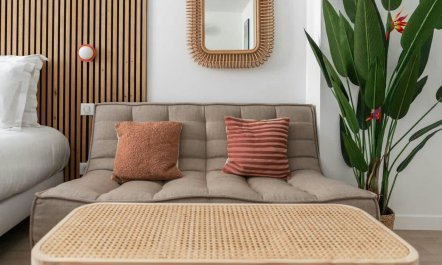 Strelitzia Flowers 2