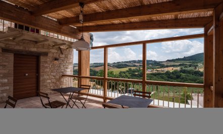 A Rustic Vision 1