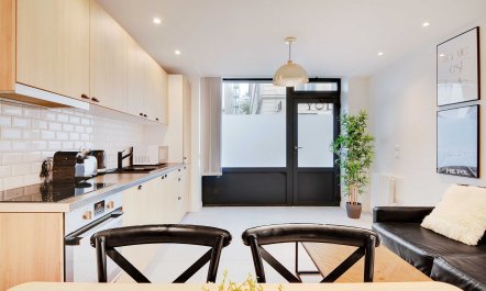 Parisian Monochromatic 1