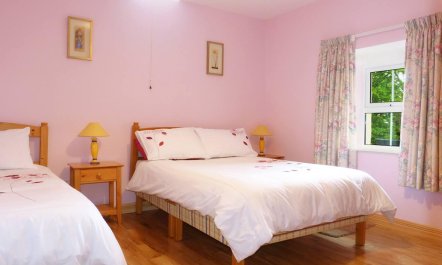 1 Bed in Ballysadare 6