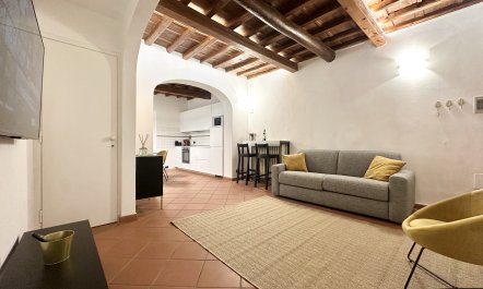 Palazzos & Galleries 4