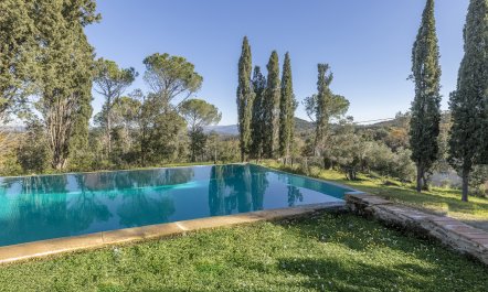 Step Back Through Time 1