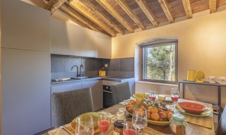 Step Back Through Time 3