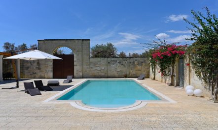 Olive's Haven