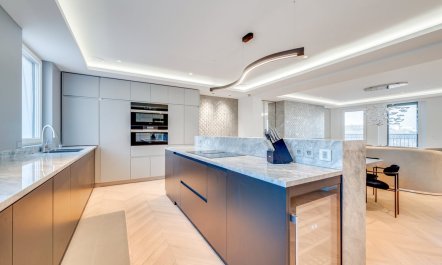 Notre-Dame's Embrace 7