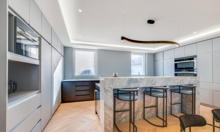 Notre-Dame's Embrace 8