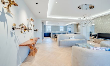 Notre-Dame's Embrace 3