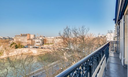 Notre-Dame's Embrace 2