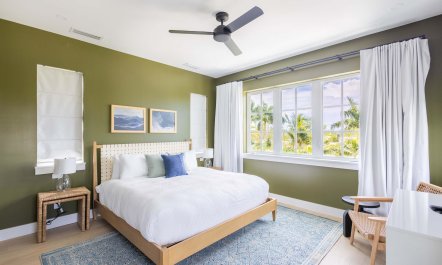 Island Sophisticate 9