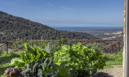 The Frescoed Coat of Arms 1