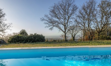 The Forest & The Sea 2