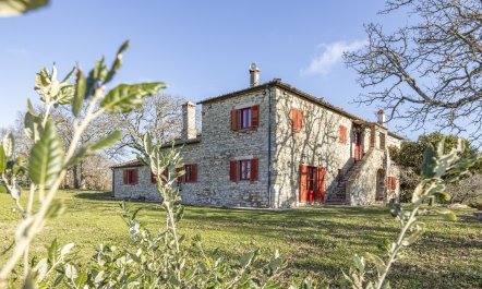 The Forest & The Sea