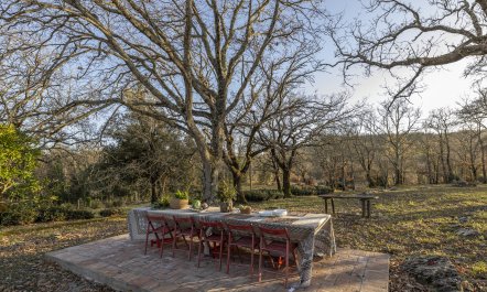 The Forest & The Sea 5