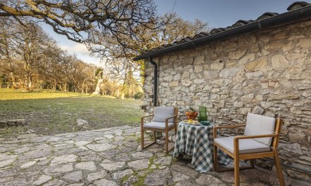 The Forest & The Sea 3