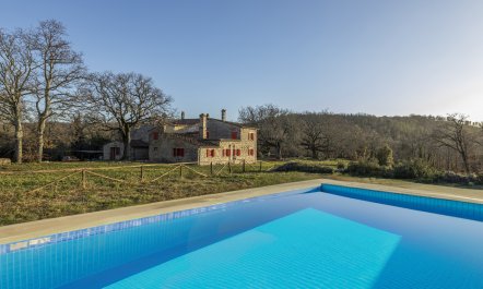 The Forest & The Sea 1