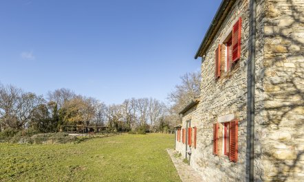 The Forest & The Sea 3