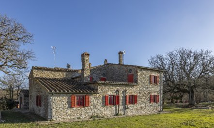 The Forest & The Sea 1