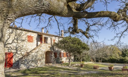 The Forest & The Sea 0