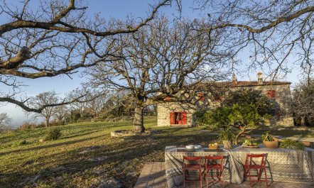 The Forest & The Sea 4