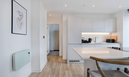 Manchester's Skyline 4