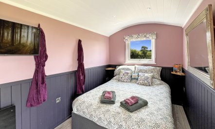 Hares Hideaway Shepherd's Hut, North Molton 2