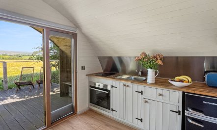 Exmoor View Log Cabin, nr North Molton 1