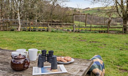 4 Bed in Painscastle 2