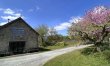4 Bed in Builth Wells 3
