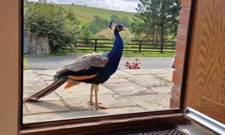 2 Bed in Brecon 3