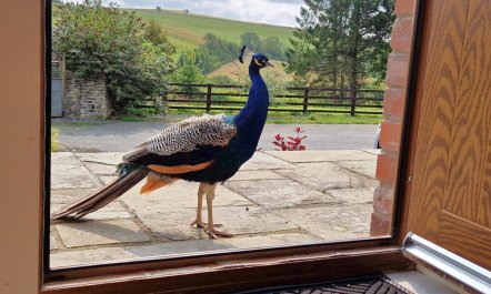 2 Bed in Lower Chapel 2